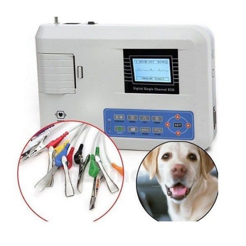 Contec ECG-100G VET Single Channel ECG Machine, Veterinary Electrocardiograph