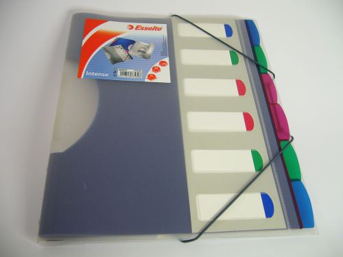 6 Tabbed Divider Book Translucent Polypropylene Six Tabs Intense 177532 Folder