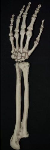 Budget Skeleton Arm Halloween Graveyard Decoration Prop