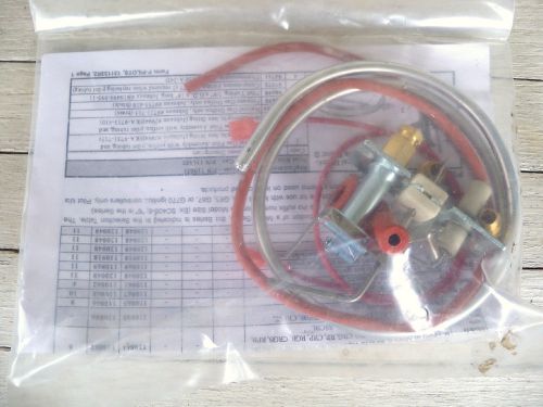 Reznor Thomas &amp; Betts 110861 Natural Gas Pilot Assembly Kit BRAND NEW