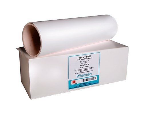 Whatman 10402405 Protran BA83 Nitrocellulose Blotting Membrane, Sheet, 0.2µm