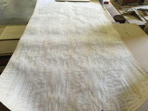 Wood veneer quilted maple 48x96 1 piece 10mil paper backed &#034;exotic&#034; 0917 1 lok for sale