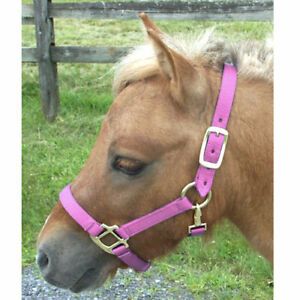 Intrepid International H325NPK Mini Nylon Miniature Horse Halter, Pink