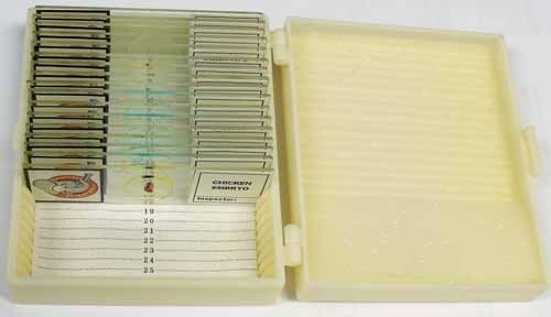 Prepared Apologia Biology Slide Set Including Chicken Embryo Film Strip