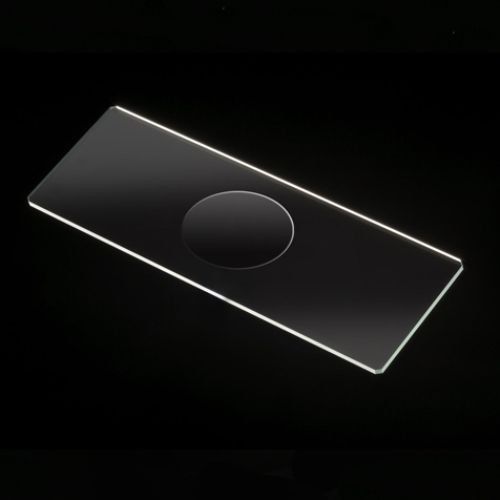 Microscope Slides with single cavity, 72/Box