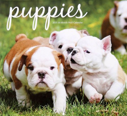 Puppies  - 2015 16 Month  WALL CALENDAR - 12x11 - NEW 2015