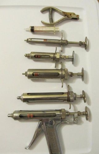 Vintage Veterinarian Hypodermic Syringes Lot Vet Veterinary Syringe Farm Lg Anim