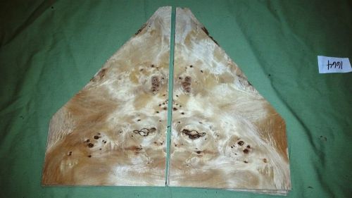 16 Leafs @ 12&#034; on the long side x 4 Mappa Burl Wood Veneer (v1664)