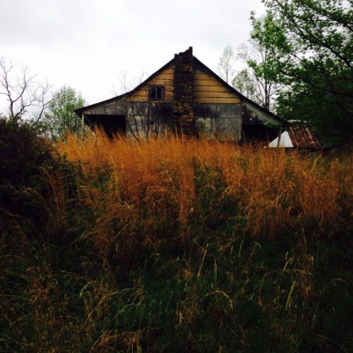 Hand hewn cabin