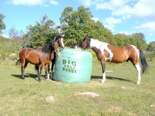 Big Bale Buddy Size LARGE Feed Hay Horses Equine Green Round Bale Feeder