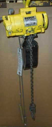 Budgit BAH2565  Air Hoist  500lb 12&#039; Used