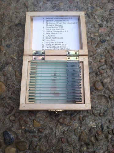 Vintage prepared slide specimen 15 pcs midwest bioservice