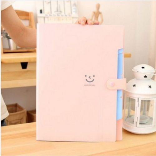 5-Index Expanding Folder - Pink