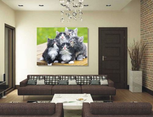 2X CANVAS ART PRINT Poster 18&#034;x24&#034; Cat Funny Print Poster Wall Decor - 07