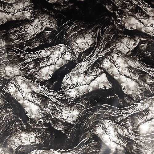 Hydrographic film * 11 sqft * ancient dragons water transfer printing for sale