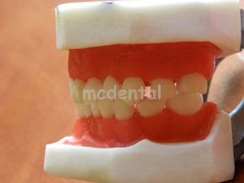 PEDIATRIC TYPODONT DENTAL MODEL TEETH REMOVABLE FLEXIBLE GUM DENTOFORM