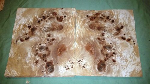 16 Leafs @ 12.25 x 10.75 Mappa Burl Wood Veneer (v1665)