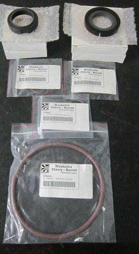 WAUKESHA CHERRY-BURRELL SEAL KIT #4 2065 VITON COMPLETE