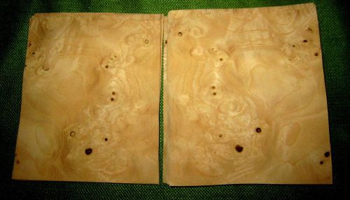 16 leafs of olive ash burl @ 6.5 x 5.5 wood veneer  #v1145 for sale