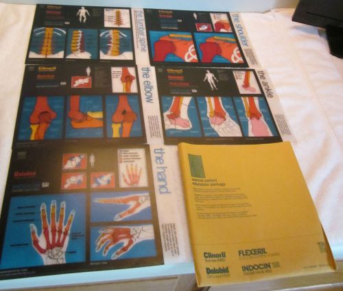 MERCK SHARP DOHME TRANSPARENT DIAGRAM XRAY RADIOLOGY PATIENT EDUCATION PACKAGE