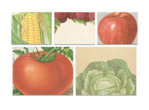 Cavallini &amp; Co. Garden Sticky Notes