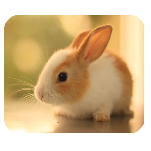 Rabbit Mouse Pad / Mice Mat 003