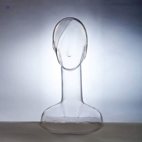 6PCS/Lot Transparency Plastic Female Mannequin Head~QianWan Displays