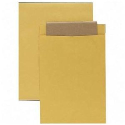 Quality Park 42353 Jumbo Envelopes