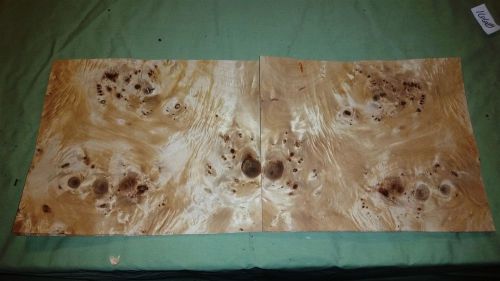 6 Leafs @ 12 x 10 Mappa Burl Wood Veneer (v1668)