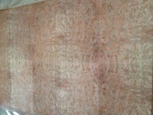 burl wood veneers, Carpathian Burl 24&#034; x 48&#034; raw veneer faces with veneer tape