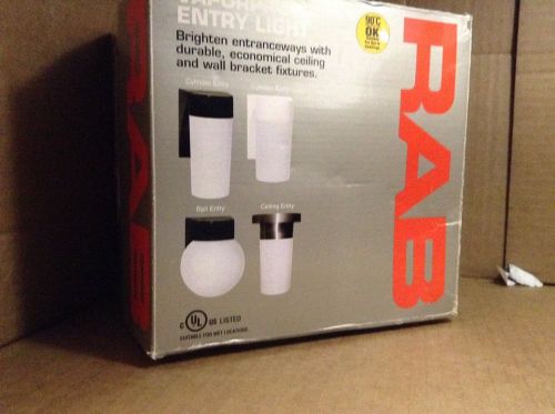 RAB vaperproof entry light VBS50BPAPC