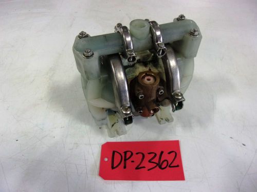 Wilden Pumps Poly .5&#034; Inlet .5&#034; Outlet Diaphragm Pump (DP2362)