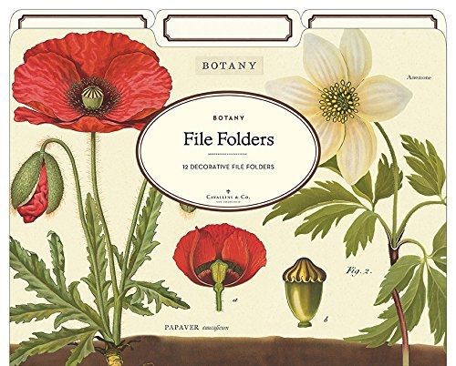 Cavallini papers &amp; co. cavallini papers &amp; co botany heavyweight file folders for sale