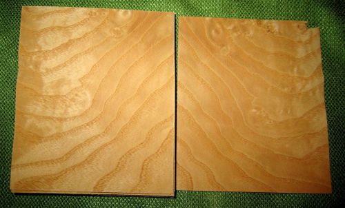 18 leafs of 0 @ 4-7/8 x 4-1/8 wood veneer  #v1148 for sale