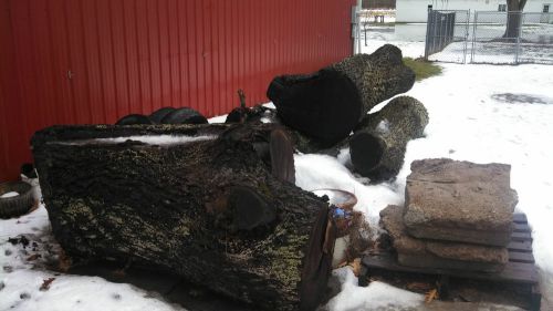 Seasoned Black Walnut Tree Trunks