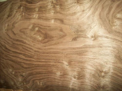 walnut burl veneer 6 @ 12 x 31 [8573