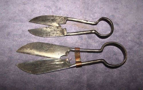 Vintage Mini Sheep Shears  Joseph Lingard Lingaro Sheffield England