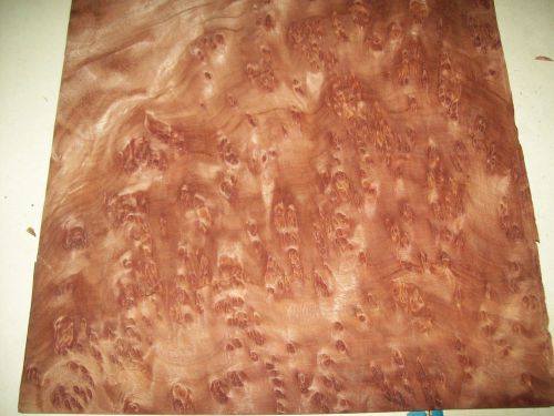 redwood burl veneer 8 @ 13 x 14 [2654