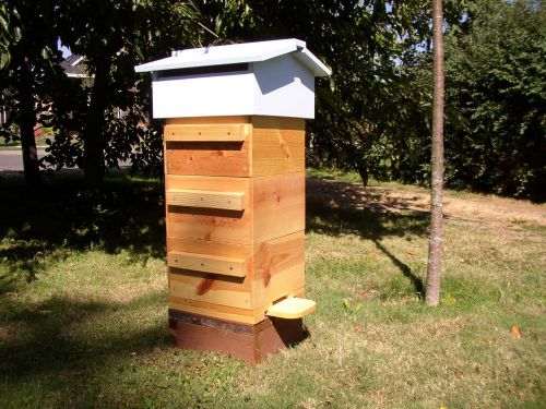 Bee Hive Warre Bee Friendly Beehives