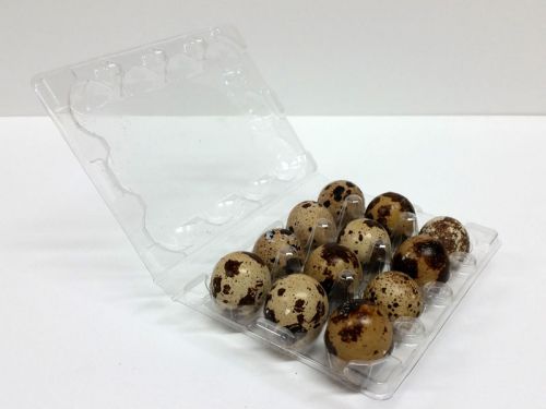 Quail Egg Cartons - 25pcs - Ships from Canada