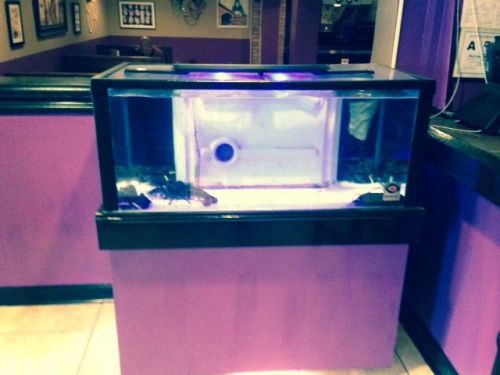 Marineland ML-24 BW1 Lobster SEAFOOD Tank 110 Gallon