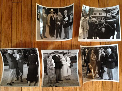 Shorthorn Bull ACADIA NAPOLEON 171st 1960&#039;s PRESS PHOTOS