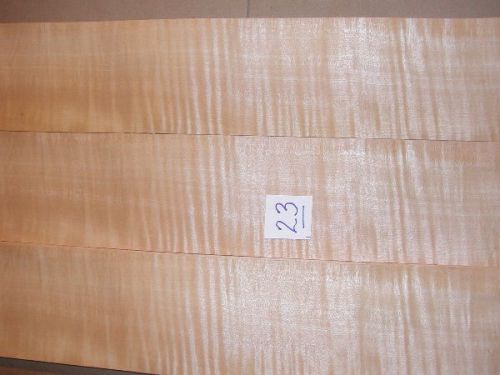 Curly Maple veneer, silky, gold