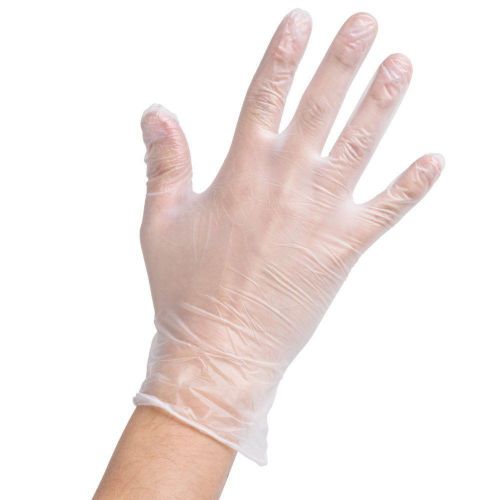 Noble powder-free vinyl gloves 100 disposable gloves xl  food service + 394365xl for sale
