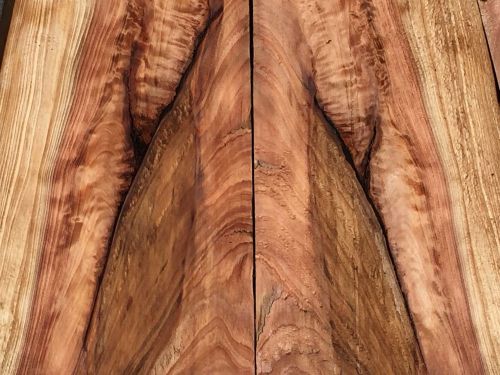 Curly Hawaiian Sugi Japanese Incense Cedar 6 Boards 13-24&#034;x0-7&#034;x1&#034;