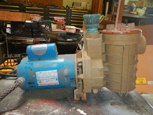 Magnetek century electric-centurian pool &amp; spa duty pump &amp; motor for sale