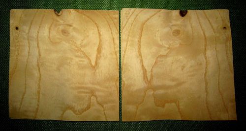 8 leafs of curley ash @ 5 x 4-7/8 wood veneer  #v1151 for sale