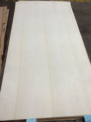 Wood Veneer Holly 48x98 1pc total 10mil paper backed &#034;EXOTIC&#034; Skid 519.1