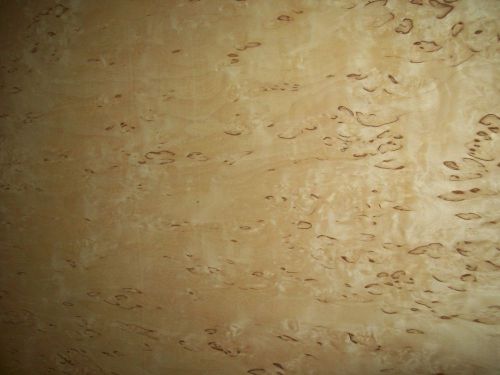 kerlian burl veneer 4 @ 19 x 33 [1232