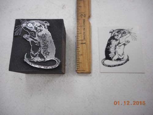 Letterpress Printing Printers Block, Gerbil Pet Animal stands on Hind Legs